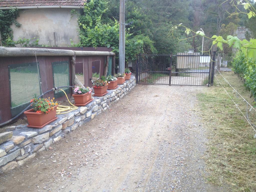 Il Piccolo Ranch Hotel Cervo Esterno foto