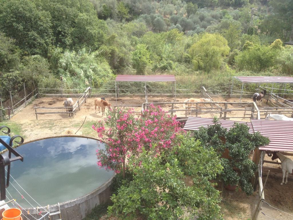 Il Piccolo Ranch Hotel Cervo Esterno foto